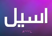 معنى اسم أسيل