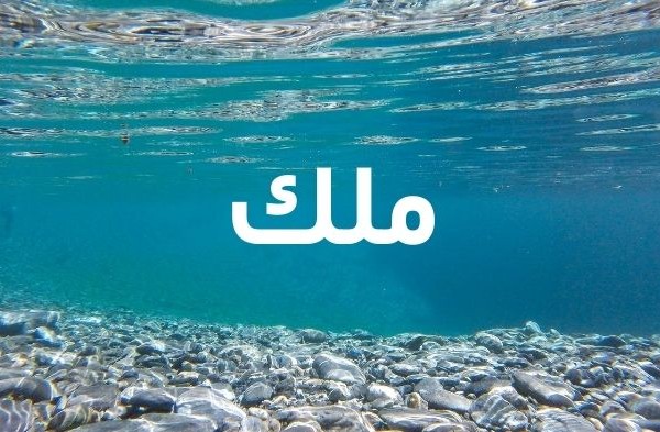 اسم ملك