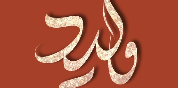 معنى اسم وليد