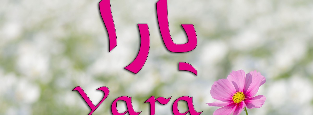 معنى اسم يارا