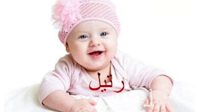 معنى اسم رتيل