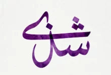  معنى اسم شذى