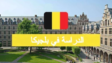 الدراسة في بلجيكا4