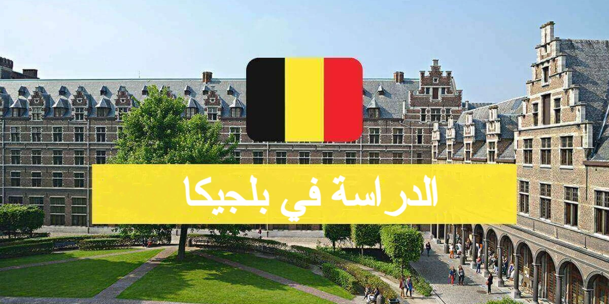 الدراسة في بلجيكا4