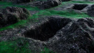 نعيم القبر وعذابه