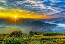 اين ولد سيدنا ابراهيم عليه السلام ؟ 25 اين ولد سيدنا ابراهيم