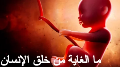 خلق الإنسان