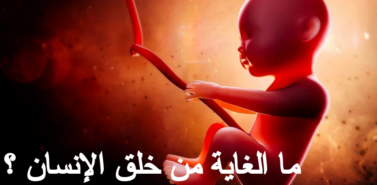 خلق الإنسان