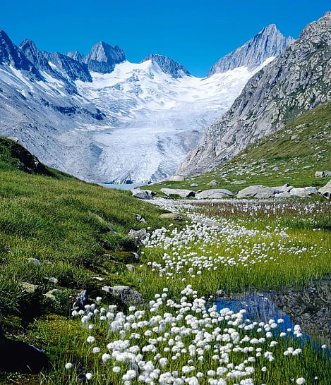 صور طبيعة في سويسرا