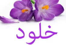 معنى اسم خلود