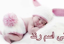 معنى اسم رند