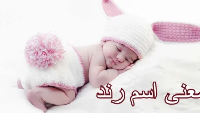 معنى اسم رند