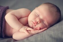 معنى اسم ليث