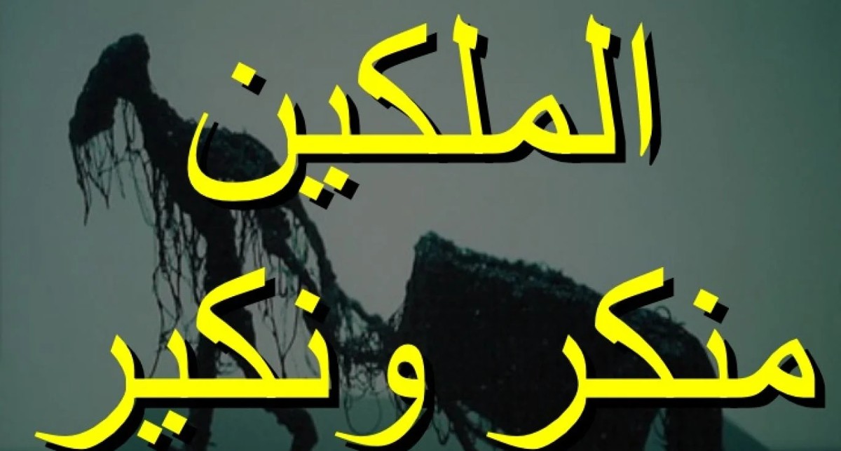 من هم منكر ونكير