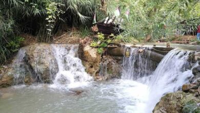 السياحة في اربد وأهم الأماكن بها 26 السياحة في اربد