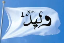 معنى اسم وليد