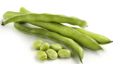 أضرار الفول الأخضر