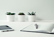 عبارات تشجيعية للطالبات