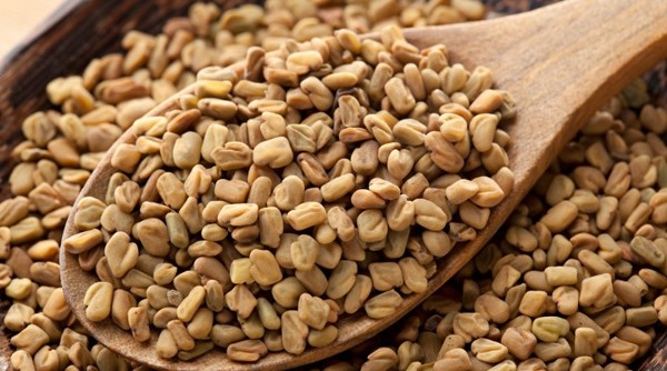 فوائد الحلبة للرجال