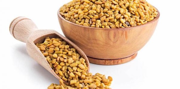 فوائد الحلبة للرجال
