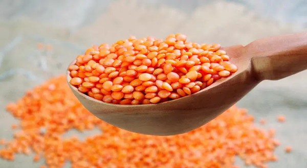 فوائد العدس البرتقالي