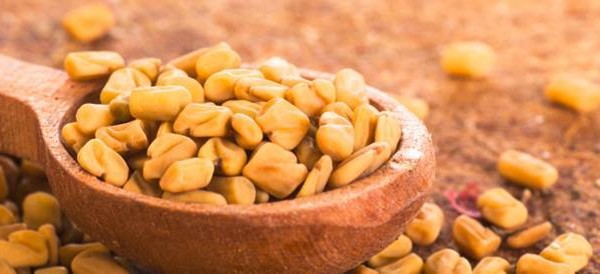 ما هي فوائد شرب الحلبة يوميا