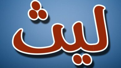معنى اسم ليث0
