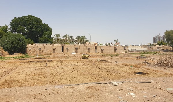 واحة صعراء