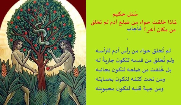 لماذا خلق الله المرأة من ضلع الرجل