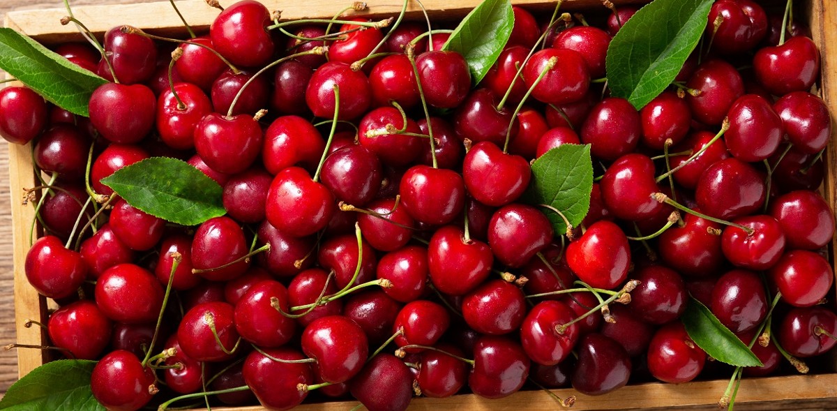 أضرار الكرز