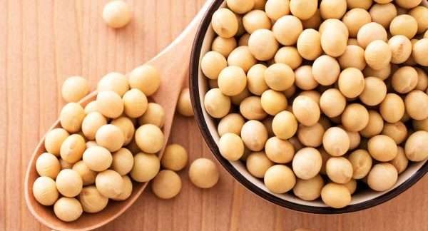 أضرار بودرة الصويا