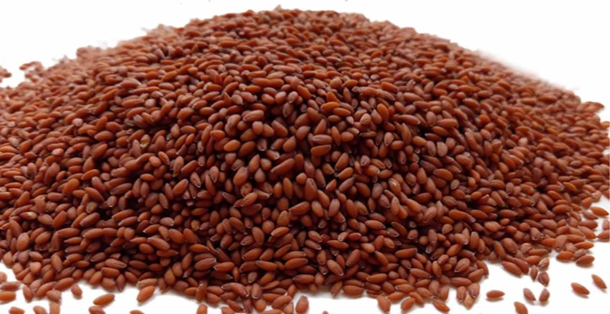 أضرار حب الرشاد المطحون