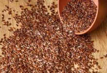 أضرار حب الرشاد للرجال