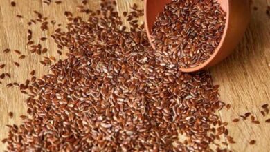 أضرار حب الرشاد للرجال