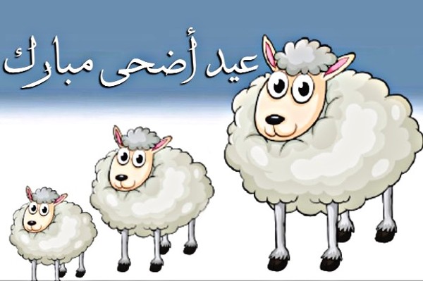 اجمل الصور عن عيد الاضحى المبارك 