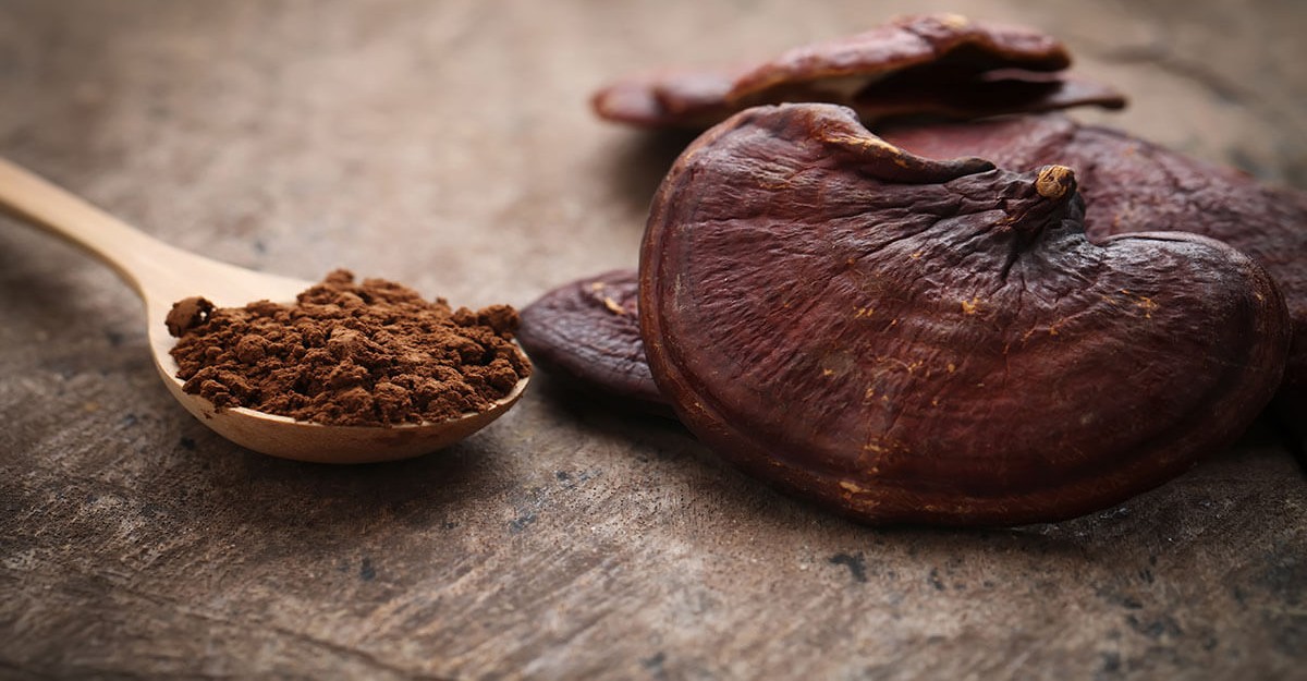 اضرار الفطر الريشي