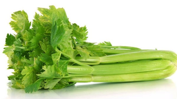 اضرار الكرفس