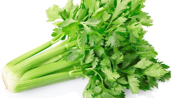 اضرار الكرفس