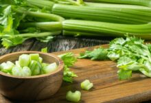 اضرار الكرفس