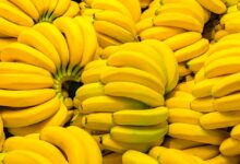 اضرار الموز على الريق