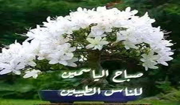 صباح الورد والفل والياسمين والعنبر