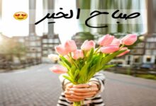 صباح الورد والياسمين صباح يسعد الغالي