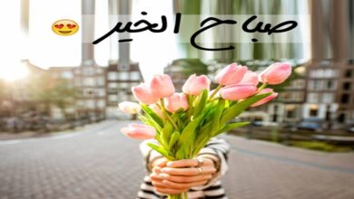 صباح الورد والياسمين صباح يسعد الغالي