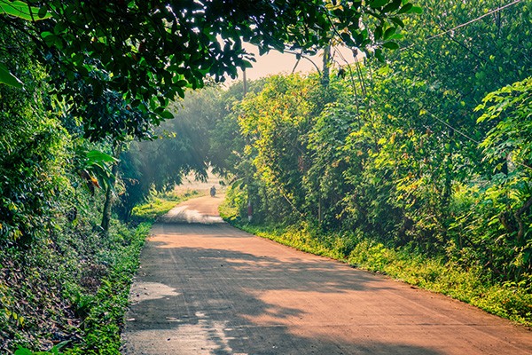 صور طبيعية