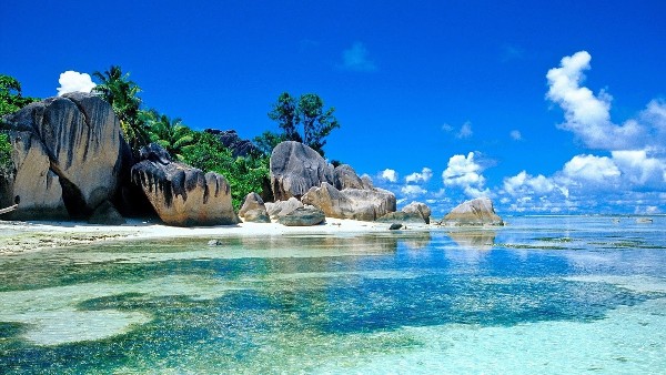 صور بحر