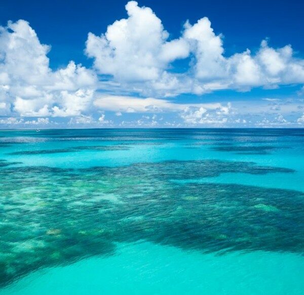 صور بحر