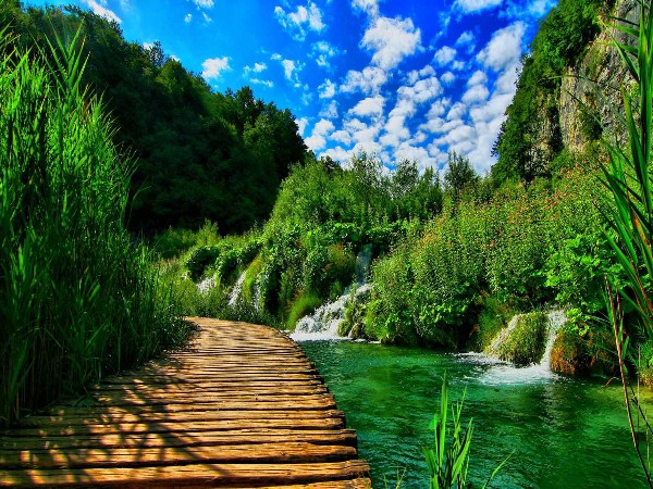 صور طبيعية