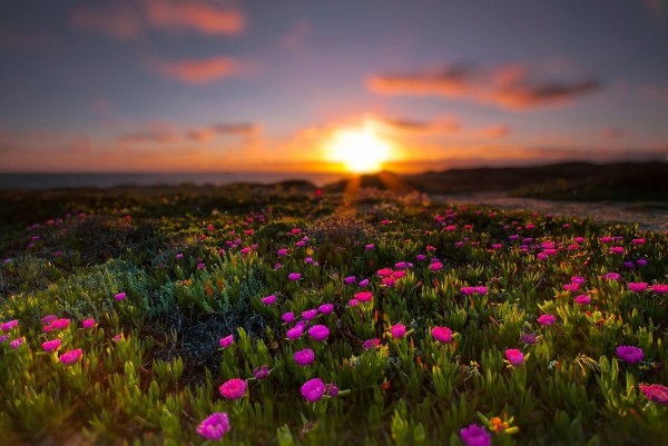 صور طبيعية