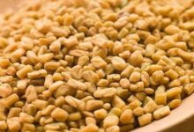 فوائد الحلبة للعظام
