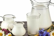 اهم فوائد السوبيا للجسم 21 فوائد السوبيا